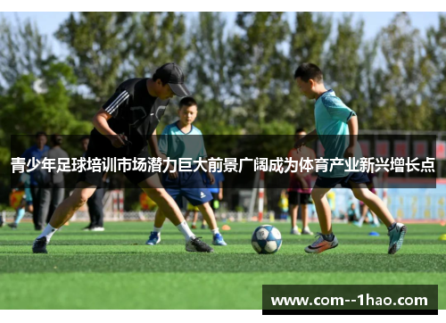 青少年足球培训市场潜力巨大前景广阔成为体育产业新兴增长点 青少年足球培训市场潜力巨大前景广阔成为体育产业新兴增长点