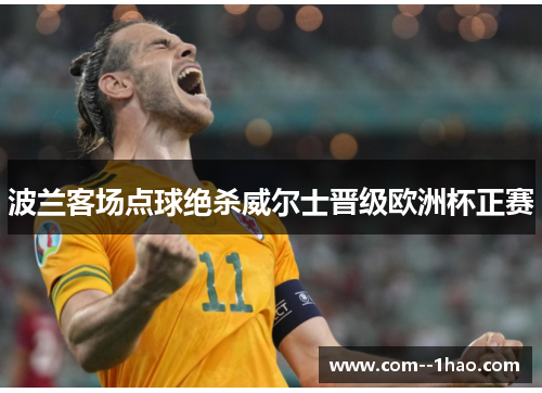 波兰客场点球绝杀威尔士晋级欧洲杯正赛