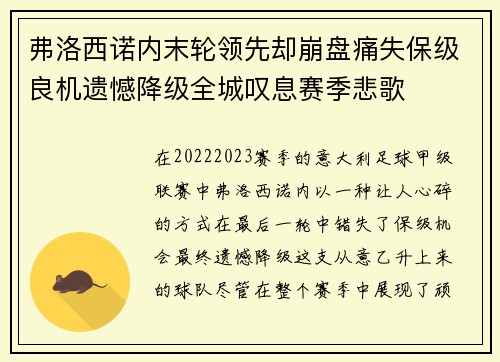 弗洛西诺内末轮领先却崩盘痛失保级良机遗憾降级全城叹息赛季悲歌